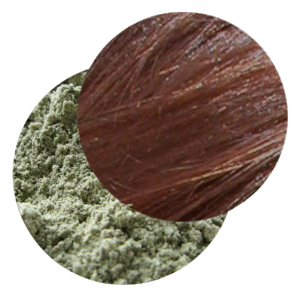 Katam - Colorant capillaire végétal 100g – Image 2
